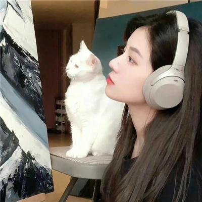 西瓜树